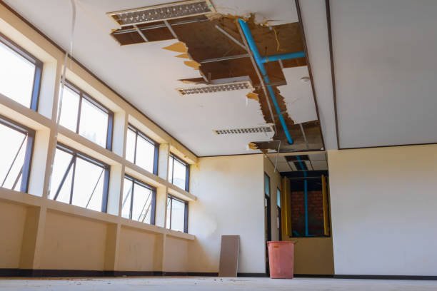 Best Ceiling water damage repair  in Euless, TX
