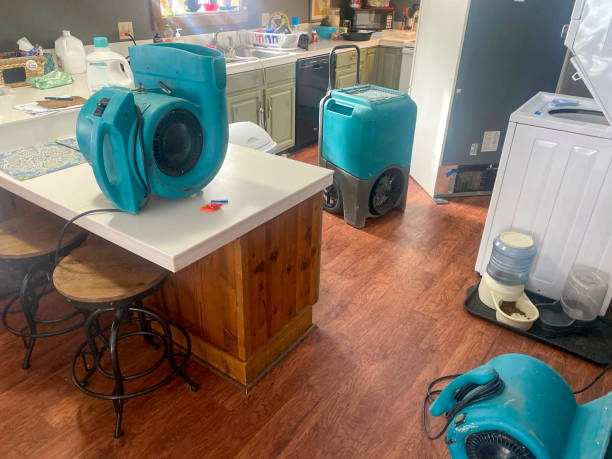 Best Water damage restoration near me  in Euless, TX