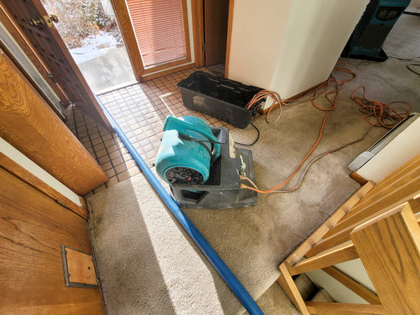 Best Water damage cleanup near me  in Euless, TX