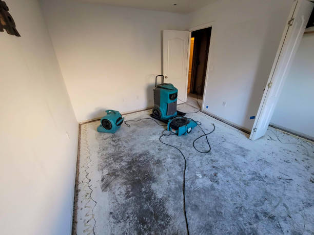 Best Local water damage restoration  in Euless, TX