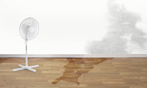 Best Sewage cleanup and water damage restoration  in Euless, TX