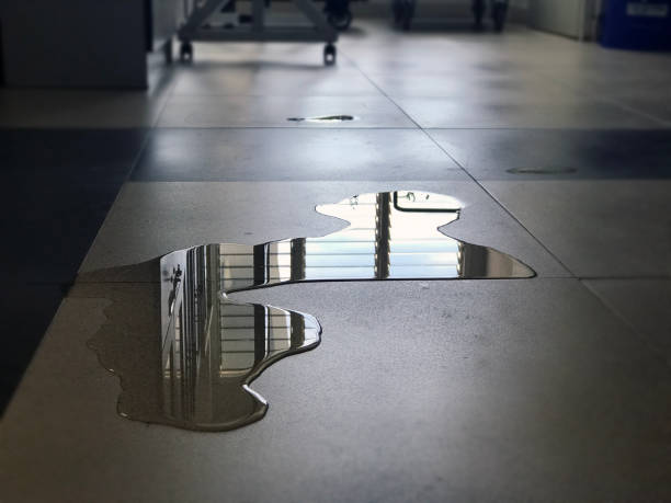 Best 24-hour water damage restoration  in Euless, TX