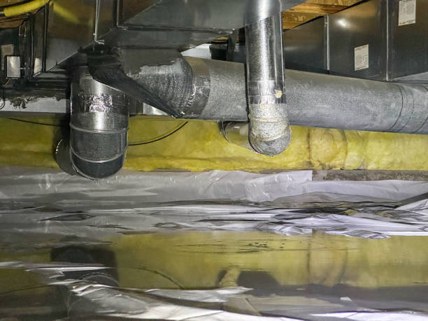 Best Water damage mitigation services  in Euless, TX