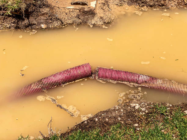Best Carpet water damage restoration  in Euless, TX