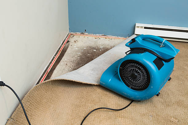 Best Professional water damage repair  in Euless, TX
